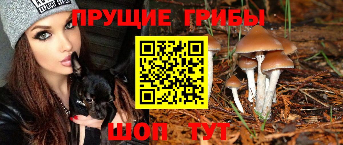 Псилоцибиновые грибы мухоморы Мурманск