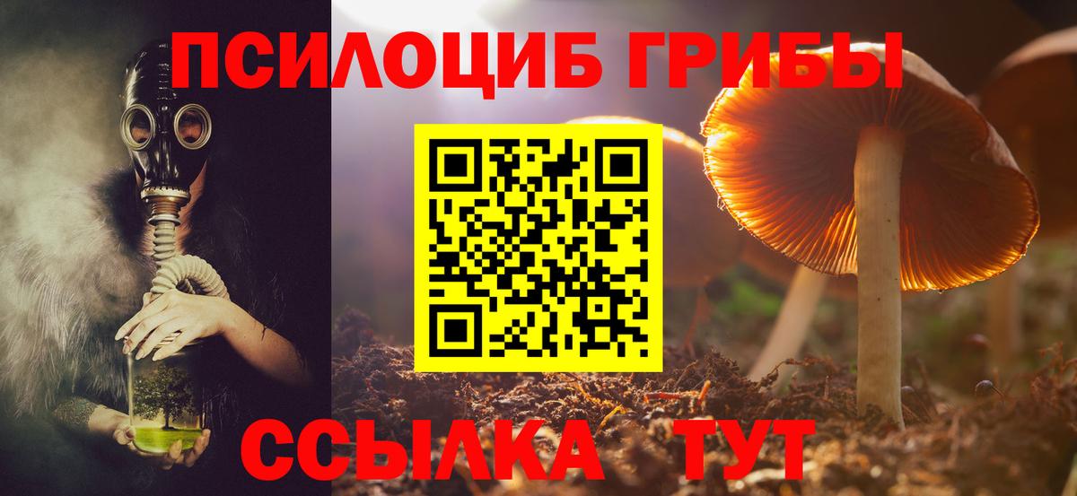 Мурманск  Галлюциногенные грибы GOLDEN TEACHER  Псилоцибиновые грибы Psilocybe  продажа наркотиков  Вход с VPN 